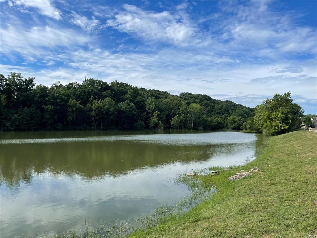 906 Palomino Path High Ridge, MO 63049 - Photo 5 of 41