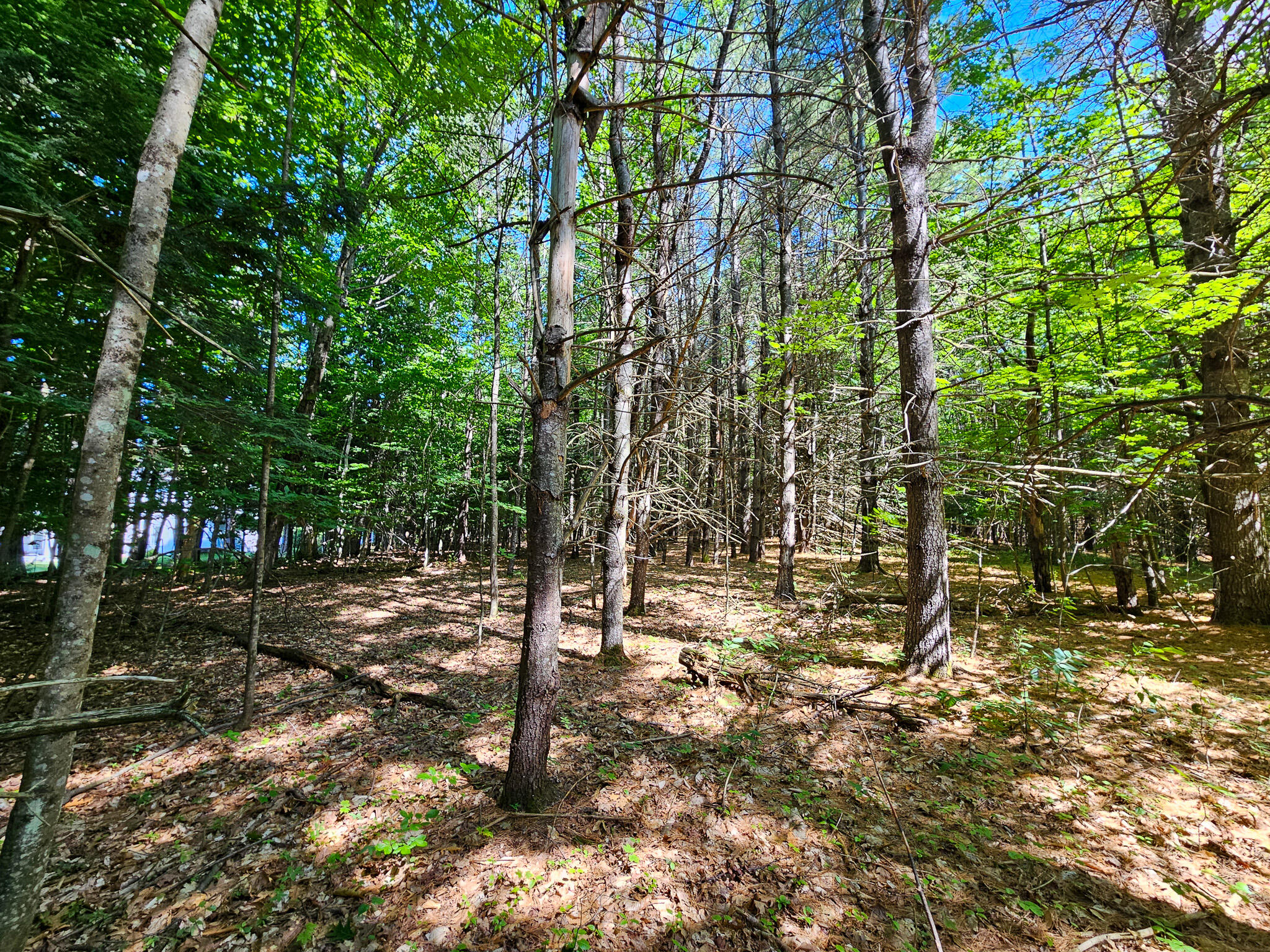 11-31-c Stone Hill Road Farmington, ME 04938 - Photo 9 of 22