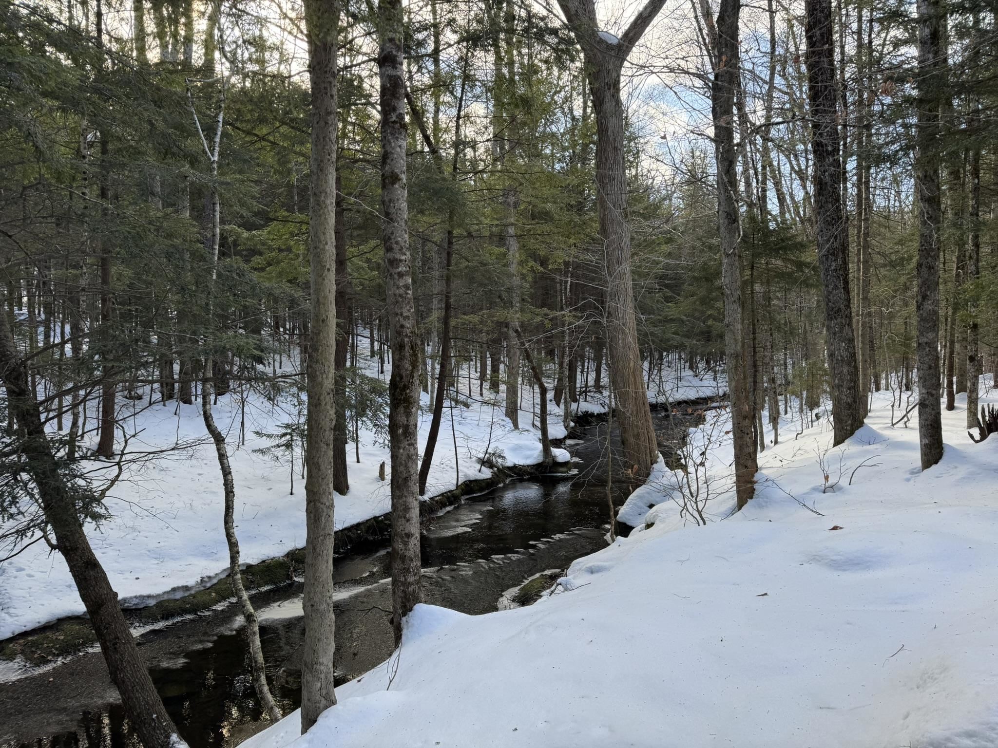 30 Lee Road Readsboro, VT 05350 - Photo 8 of 59