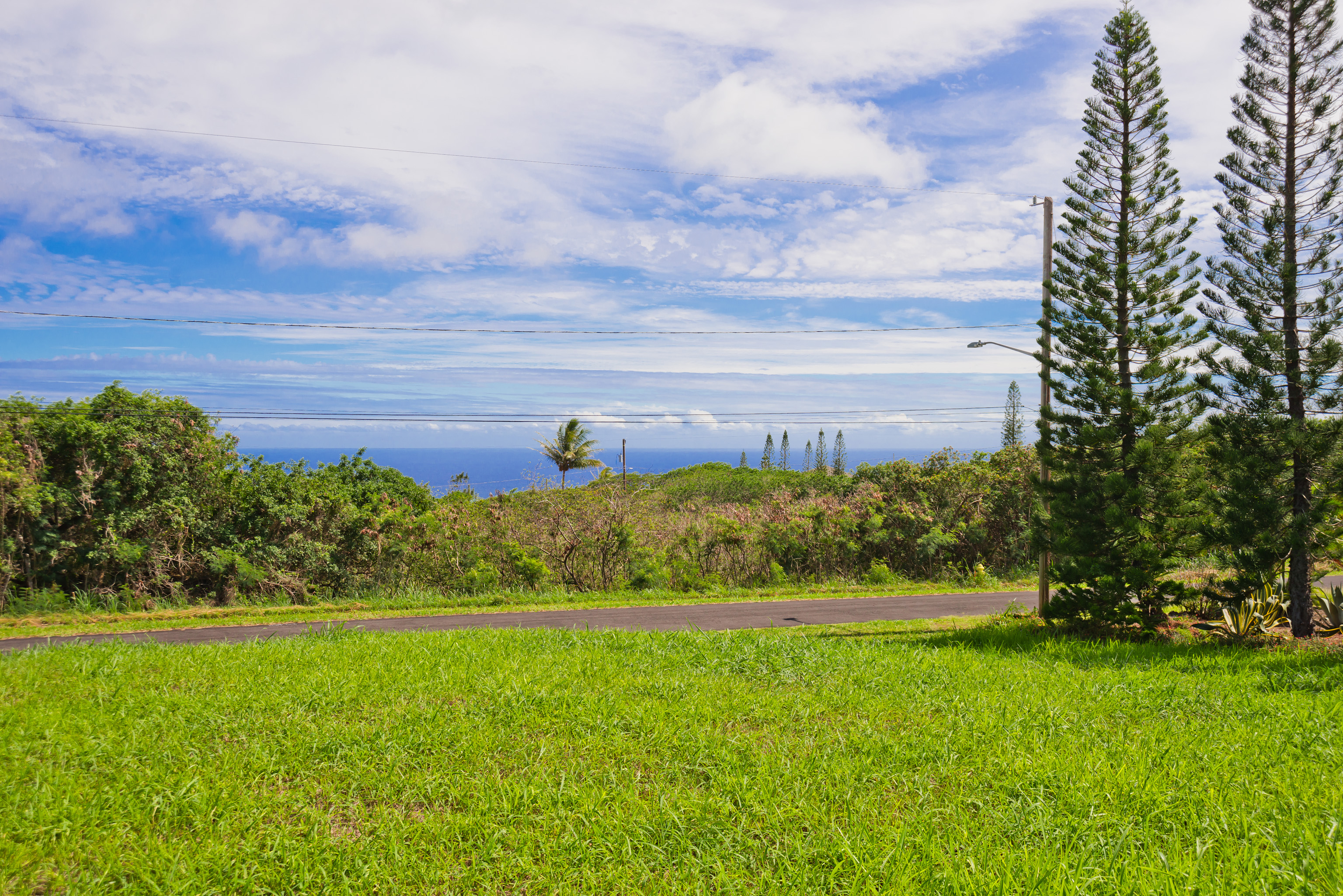 94-1436 Lot 32 Kaulua Circle Naalehu, HI 96772 - Photo 1 of 13 a view of a garden with an outdoor space