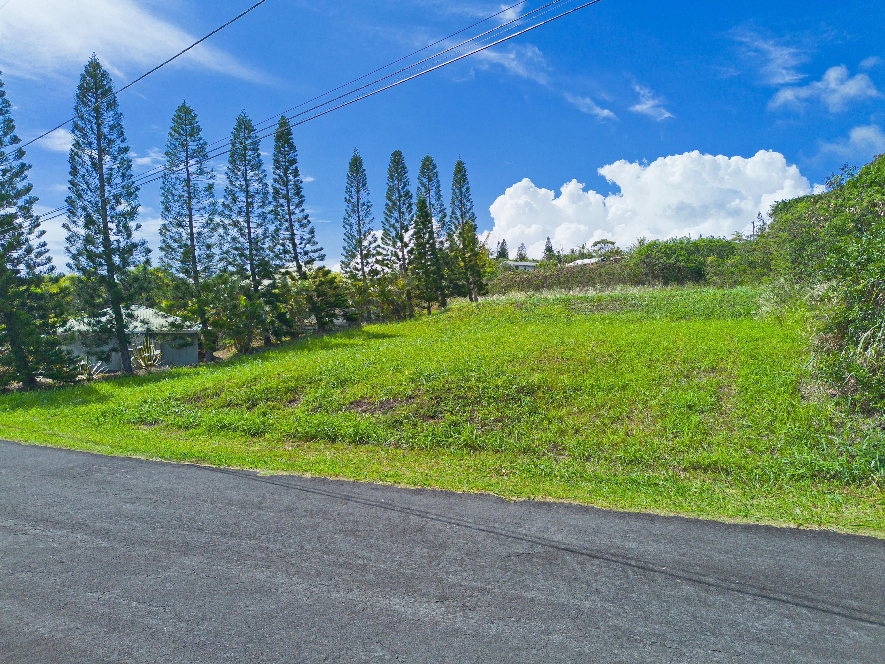 94-1436 Lot 32 Kaulua Circle Naalehu, HI 96772 - Photo 2 of 13 a view of a garden