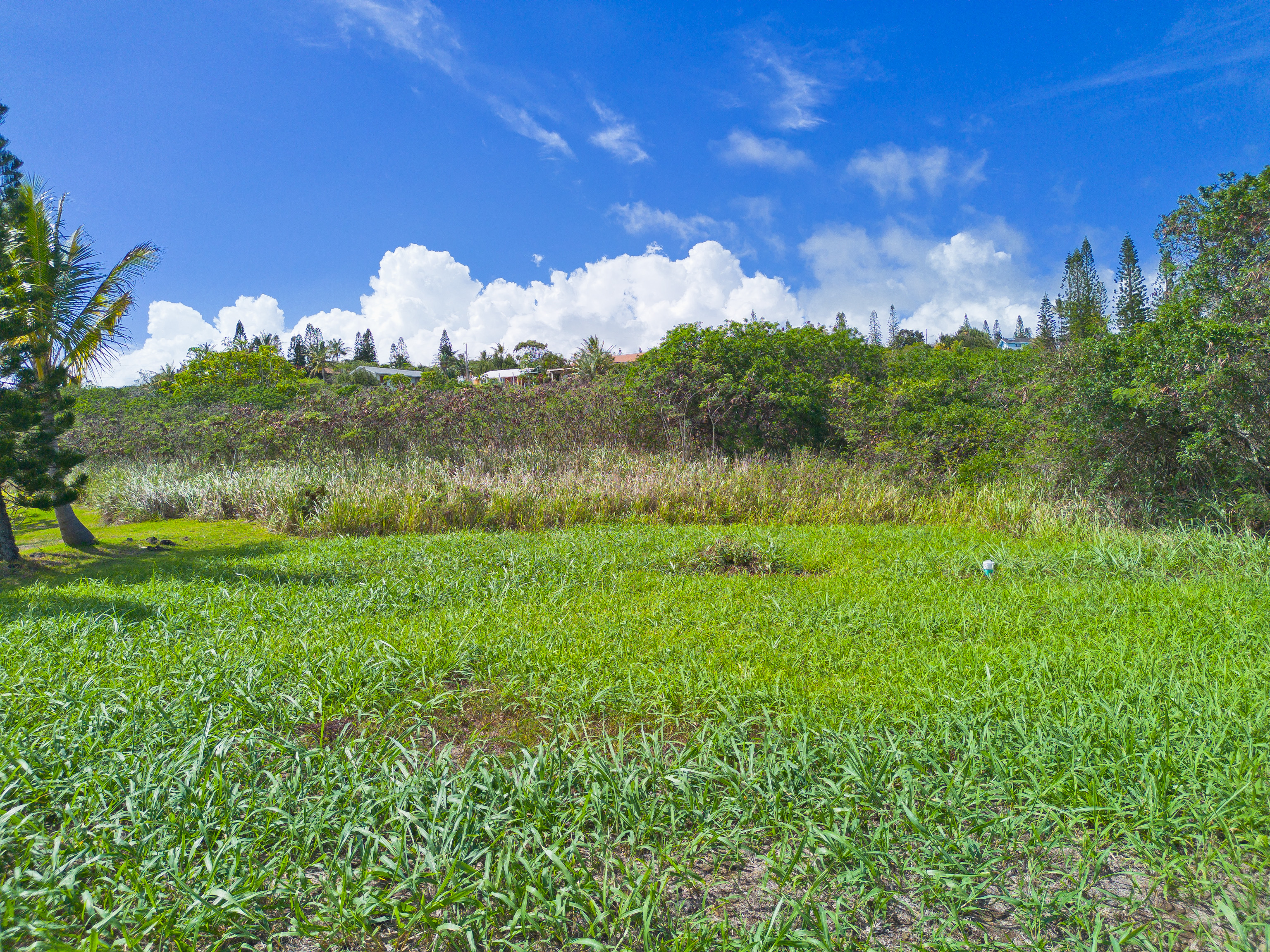 94-1436 Lot 32 Kaulua Circle Naalehu, HI 96772 - Photo 3 of 13 a view of a lake from a yard