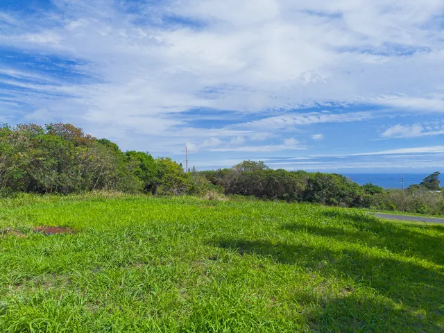 a view of a lush green outdoor space with a swimming pool and valleys in the background