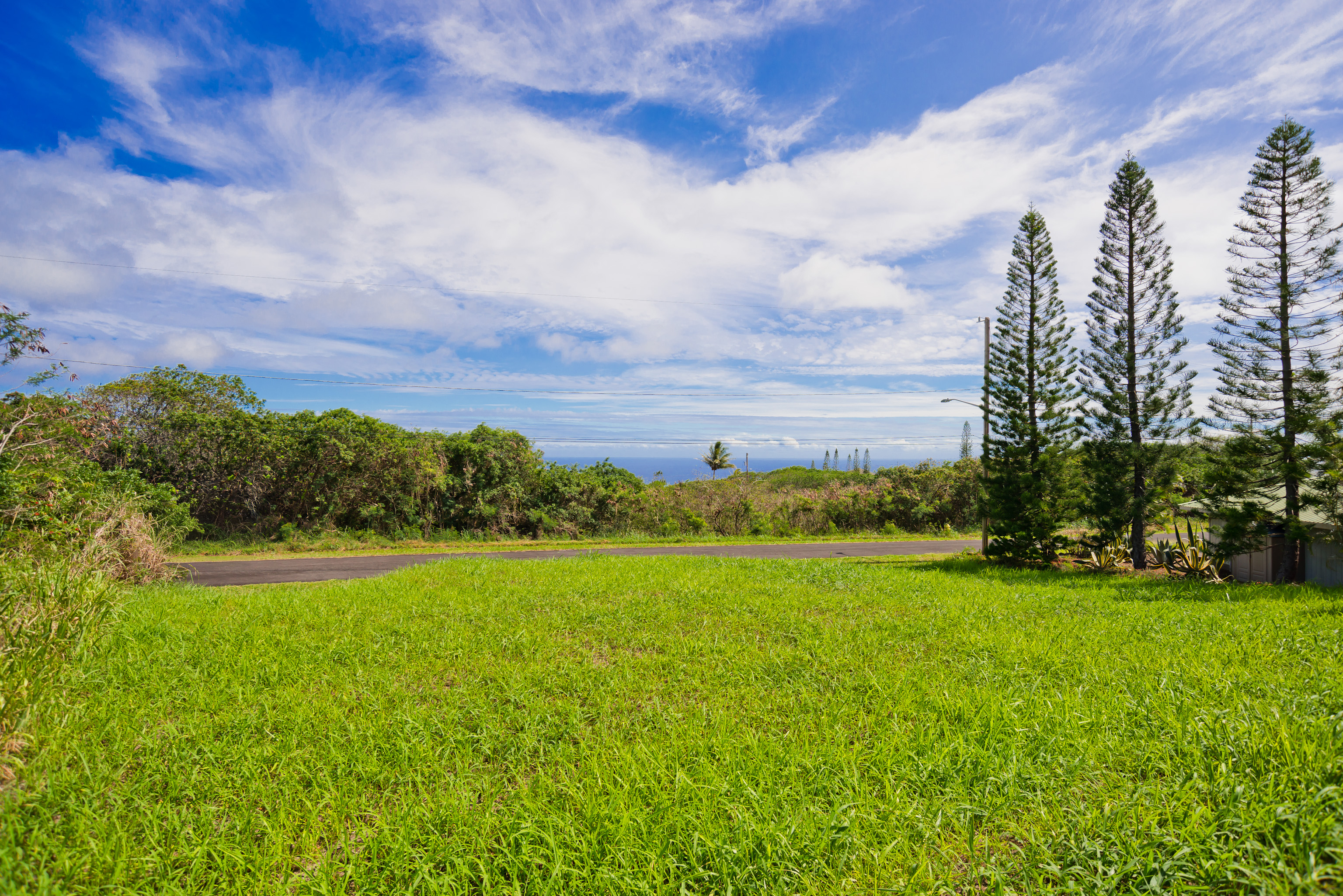 94-1436 Lot 32 Kaulua Circle Naalehu, HI 96772 - Photo 5 of 13 a view of a big yard with plants and large trees