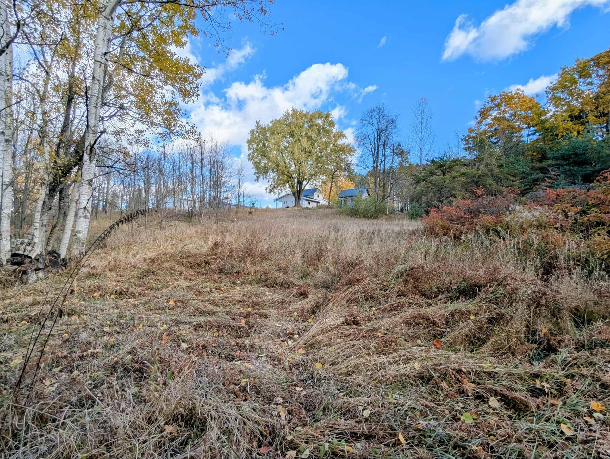 3920 East 14 Road Manton, MI 49663 - Photo 12 of 65