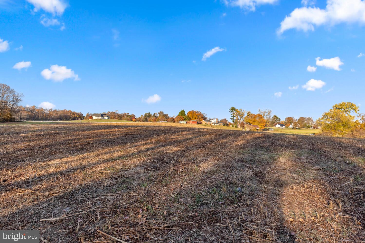 14809 Candy Hill Road Upper Marlboro, MD 20772 - Photo 3 of 16