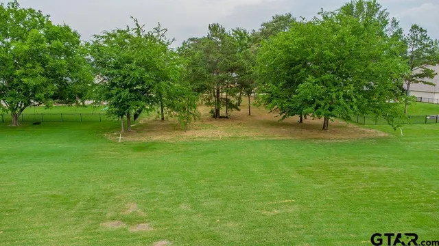 a view of a yard with trees