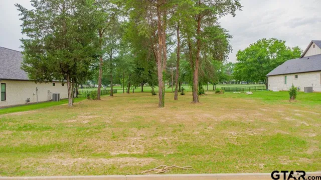 a view of yard with green space