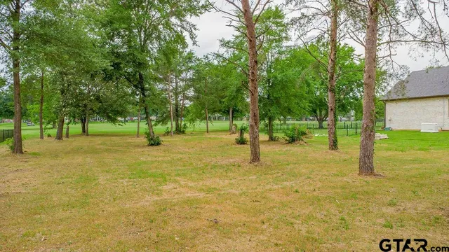 a ground with lots of trees