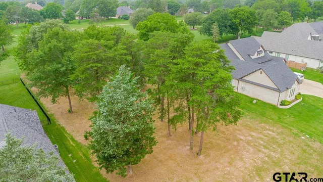 a view of a yard with plants