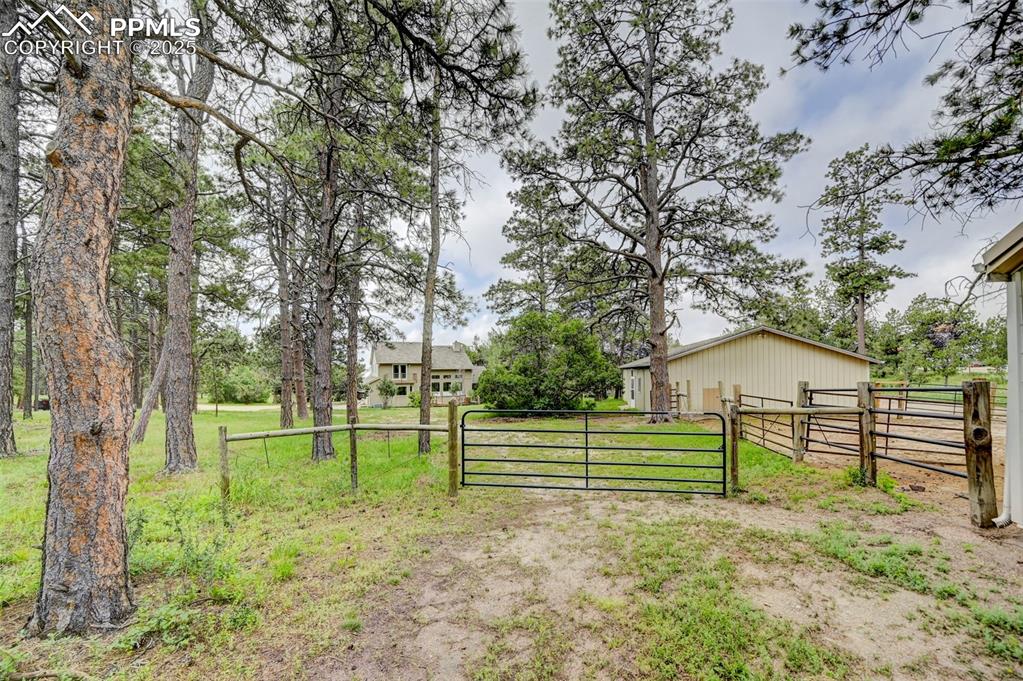 6290 Old Ranch Road Colorado Springs, CO 80908 - Photo 12 of 48 a view of a park with large trees
