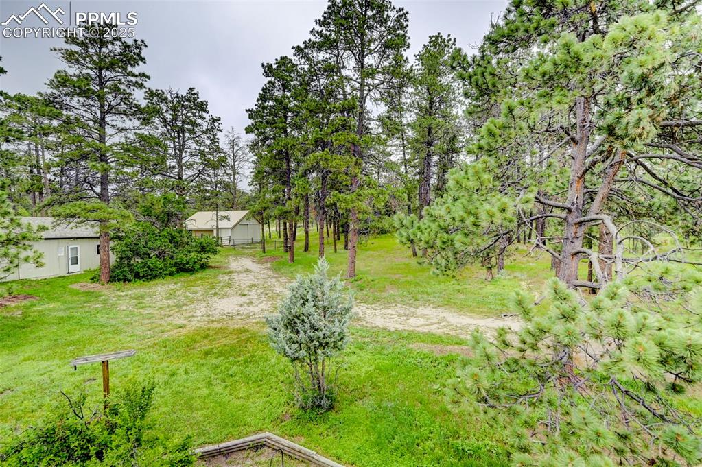 6290 Old Ranch Road Colorado Springs, CO 80908 - Photo 8 of 48 a view of yard with green space