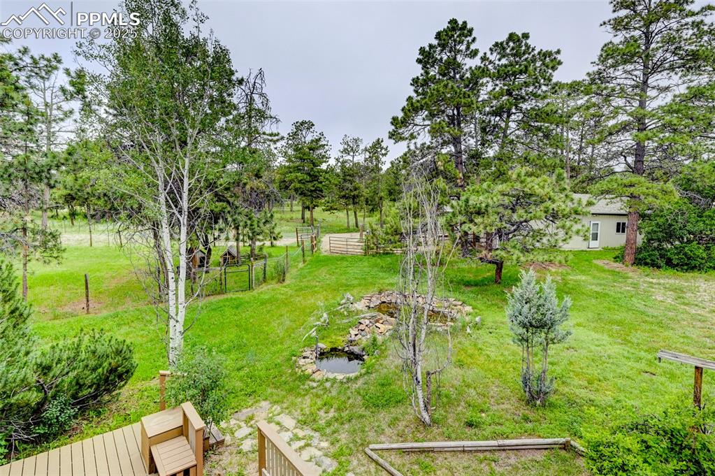 6290 Old Ranch Road Colorado Springs, CO 80908 - Photo 9 of 48 a backyard of a house with lots of green space