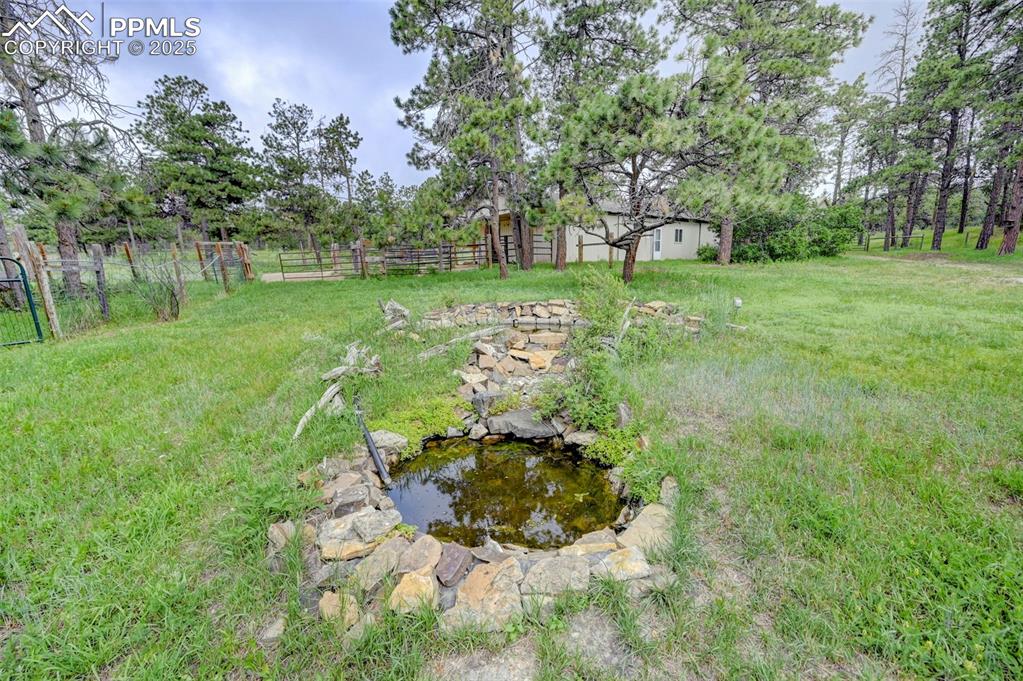 6290 Old Ranch Road Colorado Springs, CO 80908 - Photo 10 of 48 a view of a garden with a bench