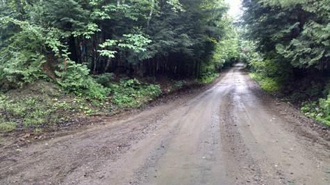 Lot 33-1 Weir Pond Road Lee, ME 04455 - Photo 2 of 4 Photo