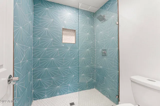 a bathroom with a shower and a toilet