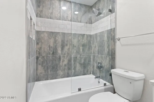 a bathroom with a toilet and a bathtub