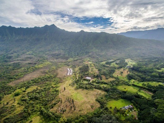 2818 Kamookoa Road, Unit 4 Kilauea, HI 96754 - Photo 14 of 23 Gallery Image 14