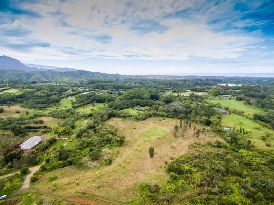 2818 Kamookoa Road, Unit 4 Kilauea, HI 96754 - Photo 17 of 23 Gallery Image 17