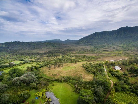 2818 Kamookoa Road, Unit 4 Kilauea, HI 96754 - Photo 20 of 23 Gallery Image 20