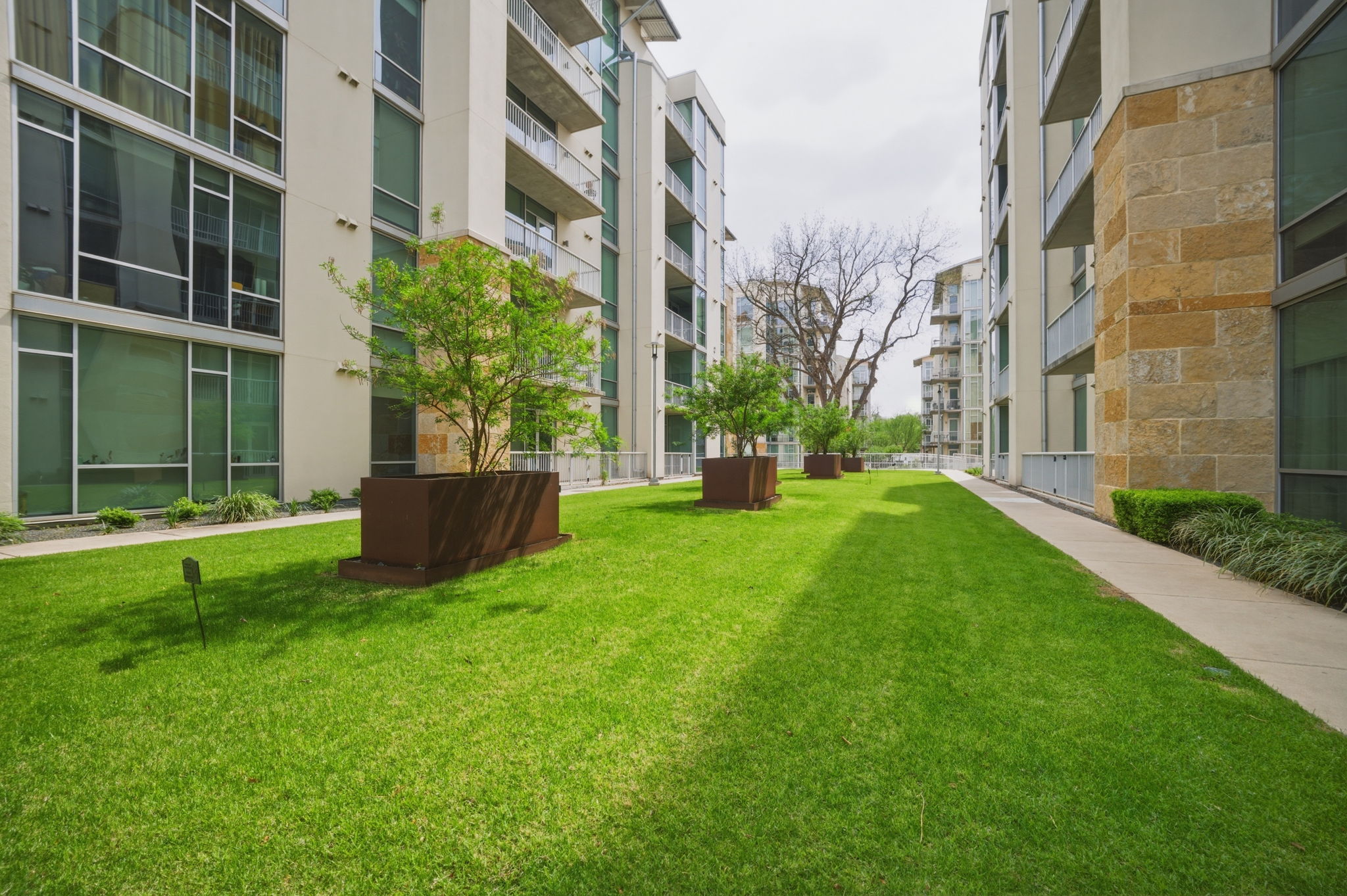 1600 Barton Springs Road, Unit 4305 Austin, TX 78704 - Photo 22 of 26 a view of backyard with a garden and plants