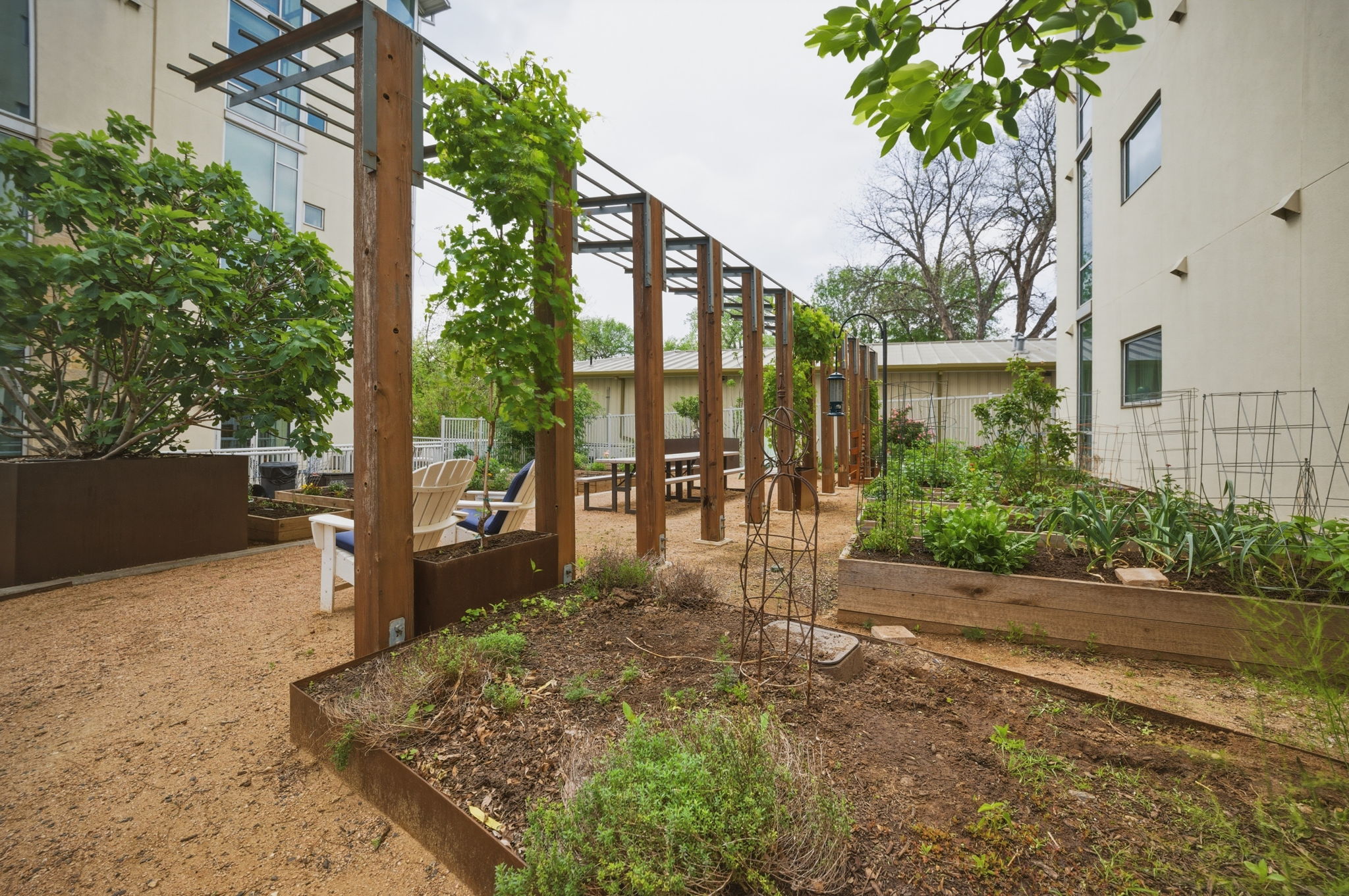 1600 Barton Springs Road, Unit 4305 Austin, TX 78704 - Photo 25 of 28 View of yard featuring a garden, a pergola, and a patio area