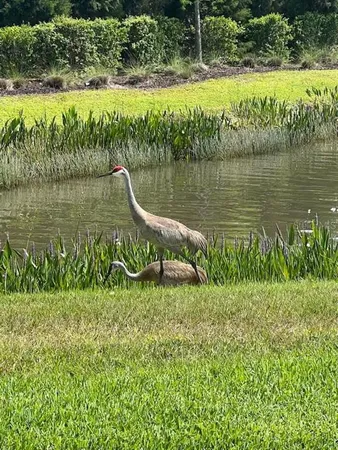 $450,000 | 5906 162nd Avenue East, Parrish, FL 34219