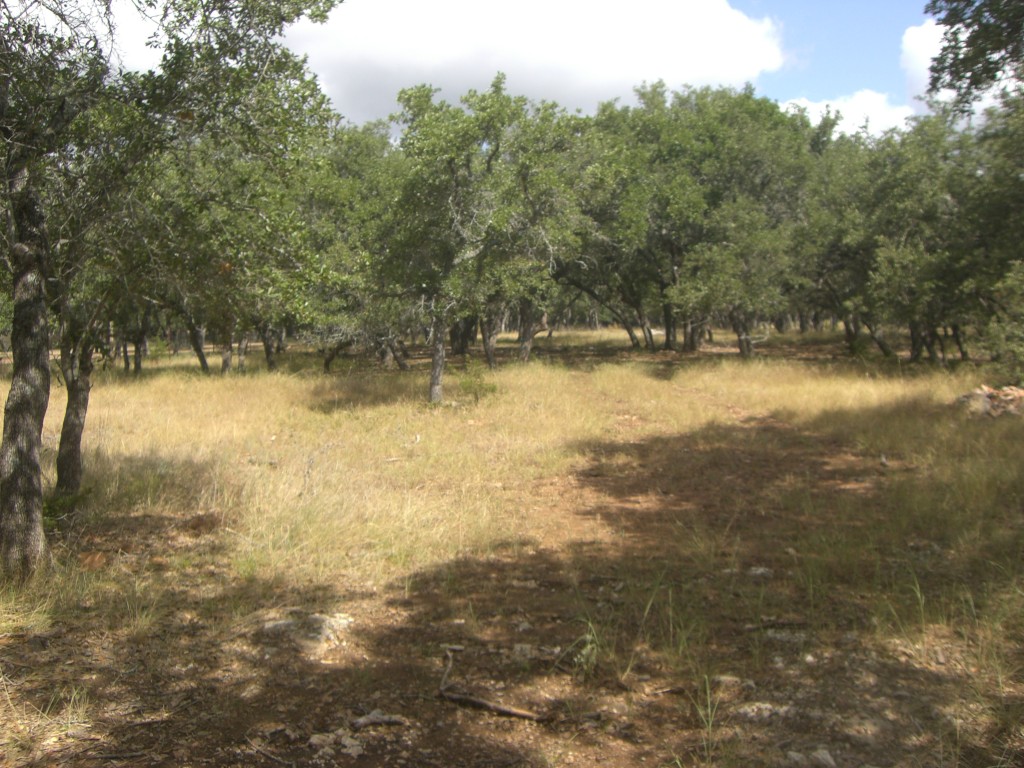 2840 Cedar Hollow Road Georgetown, TX 78628 - Photo 1 of 1