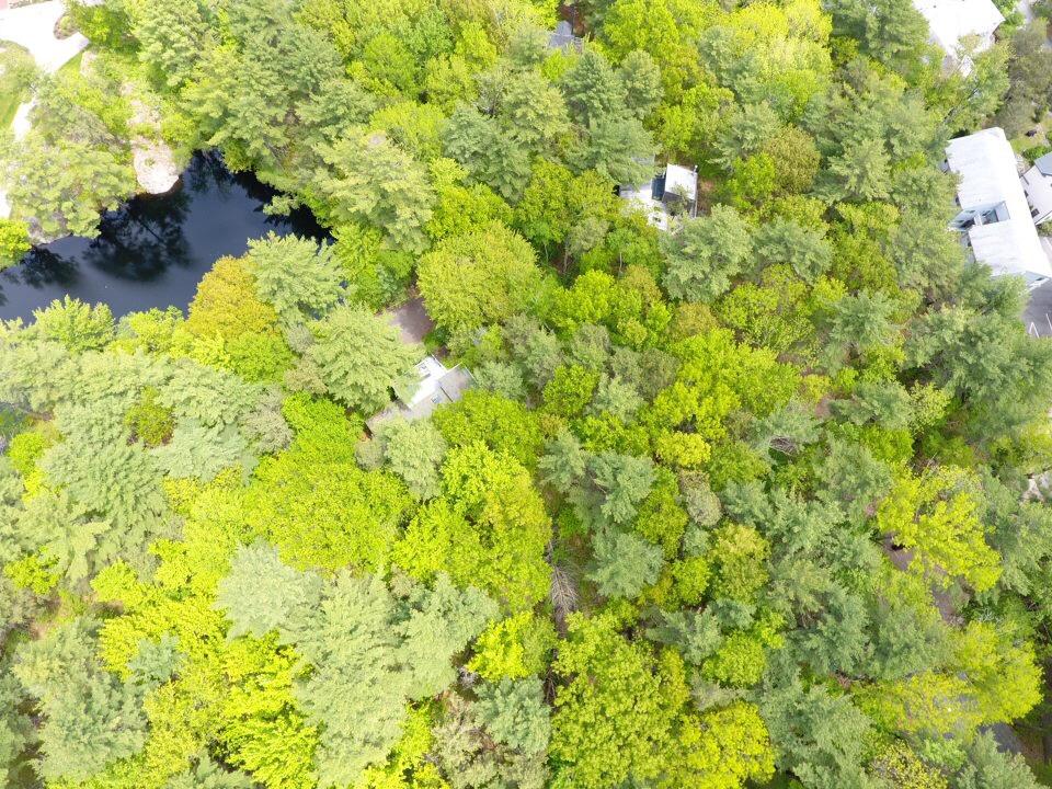 2 Ocean Pond Road Cape Neddick, ME 03902 - Photo 3 of 12 IMG_3346