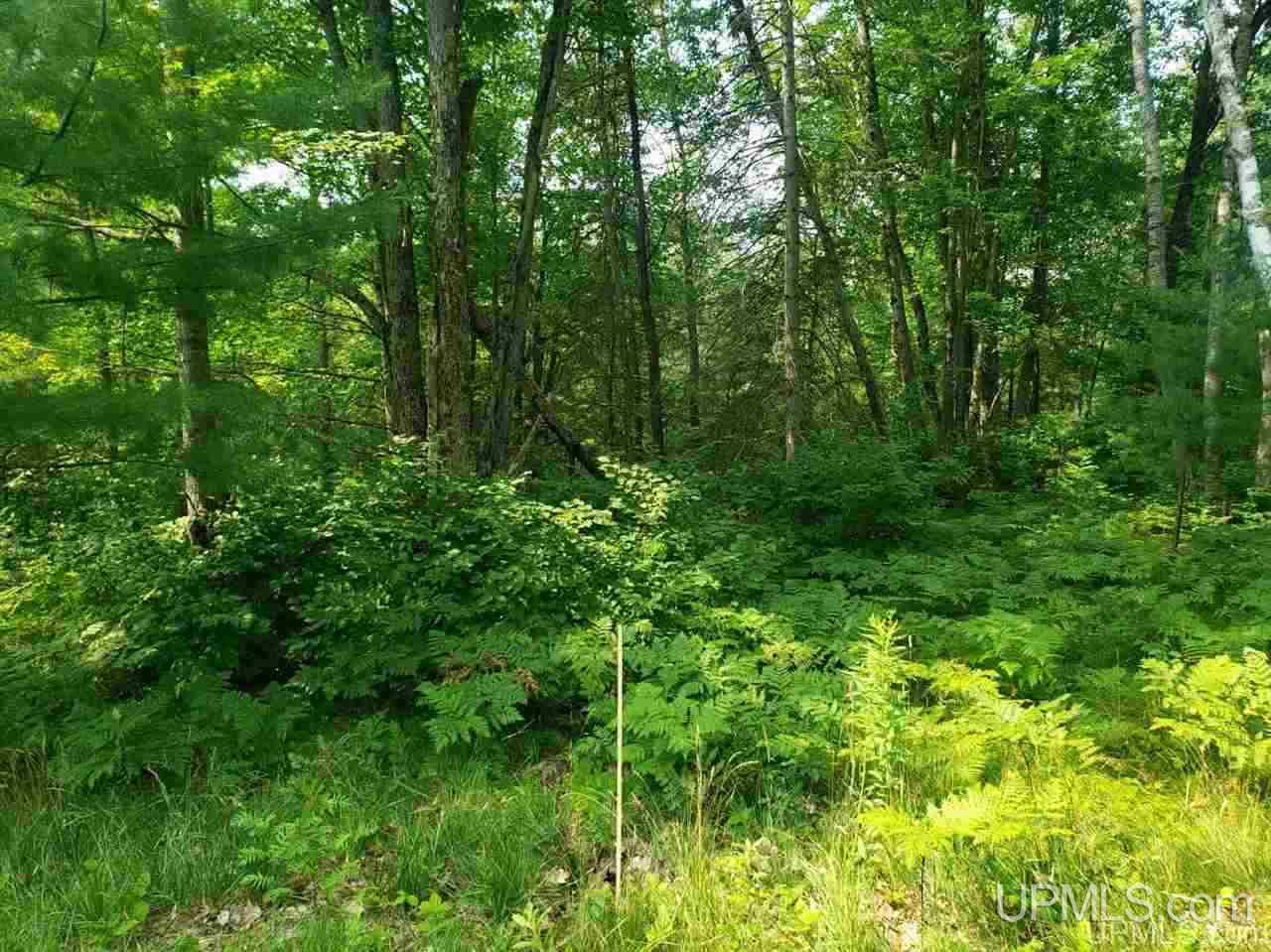 T-wi Wi 54121 Road Florence, WI 54121 - Photo 6 of 11