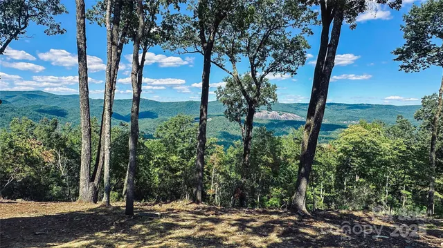 $95,000 | 189 Laurel Wood Lane, Unit 155, Traphill, NC 28685