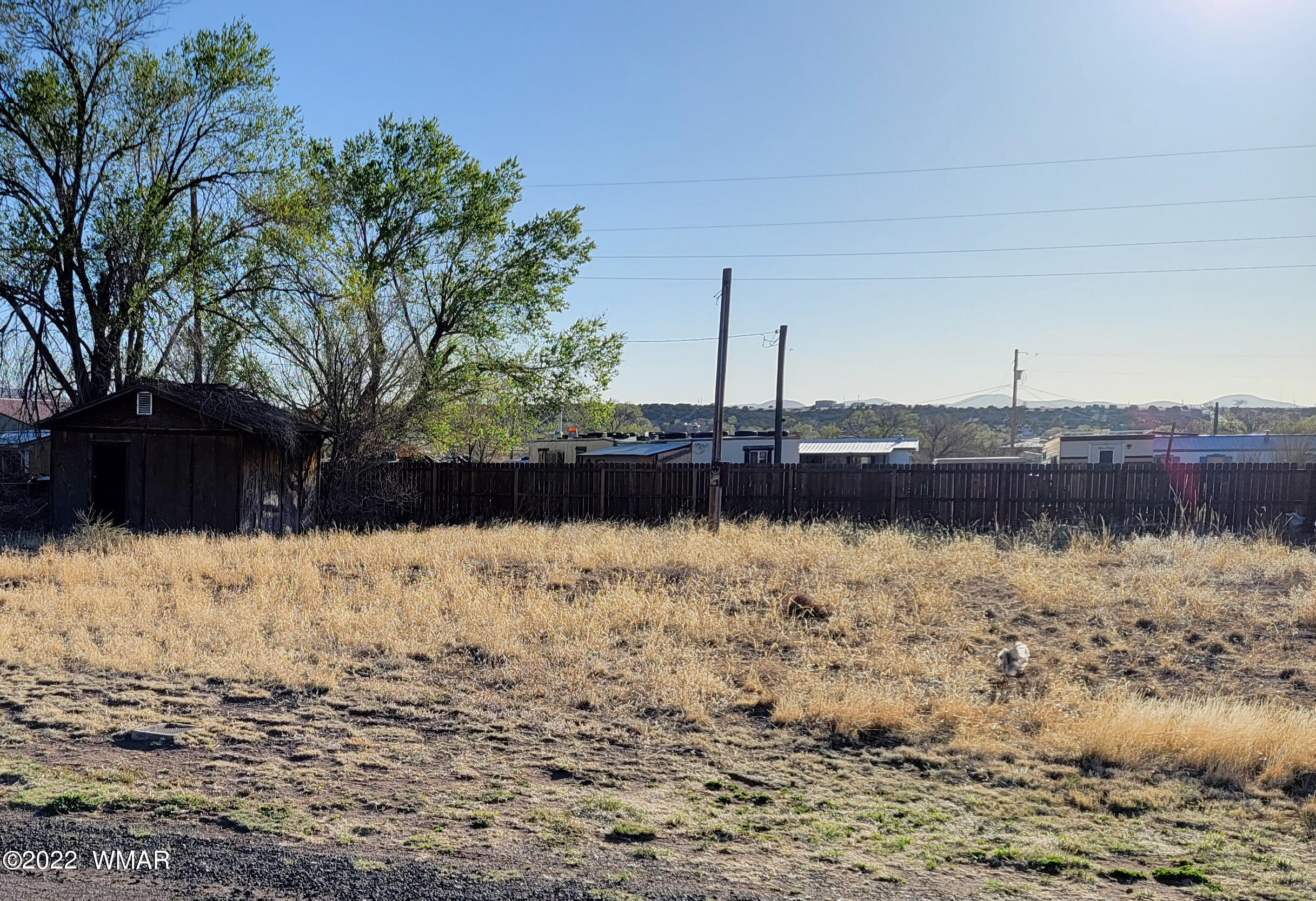 Tbd Catalina Drive Springerville, AZ 85938 - Photo 2 of 2