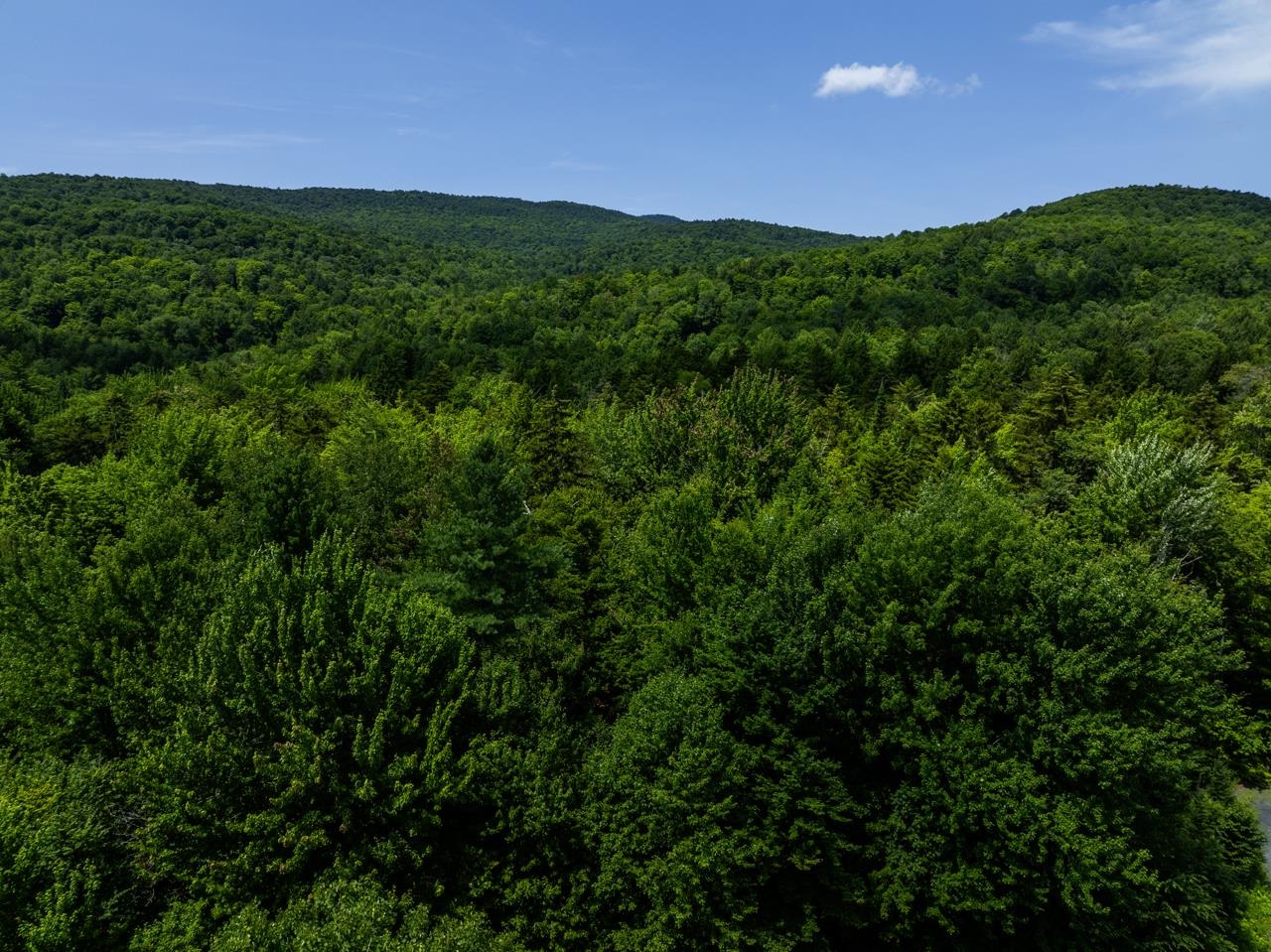 Tbd Taylor Road, Unit 9 Waterbury, VT 05676 - Photo 15 of 39 Gallery Image 15