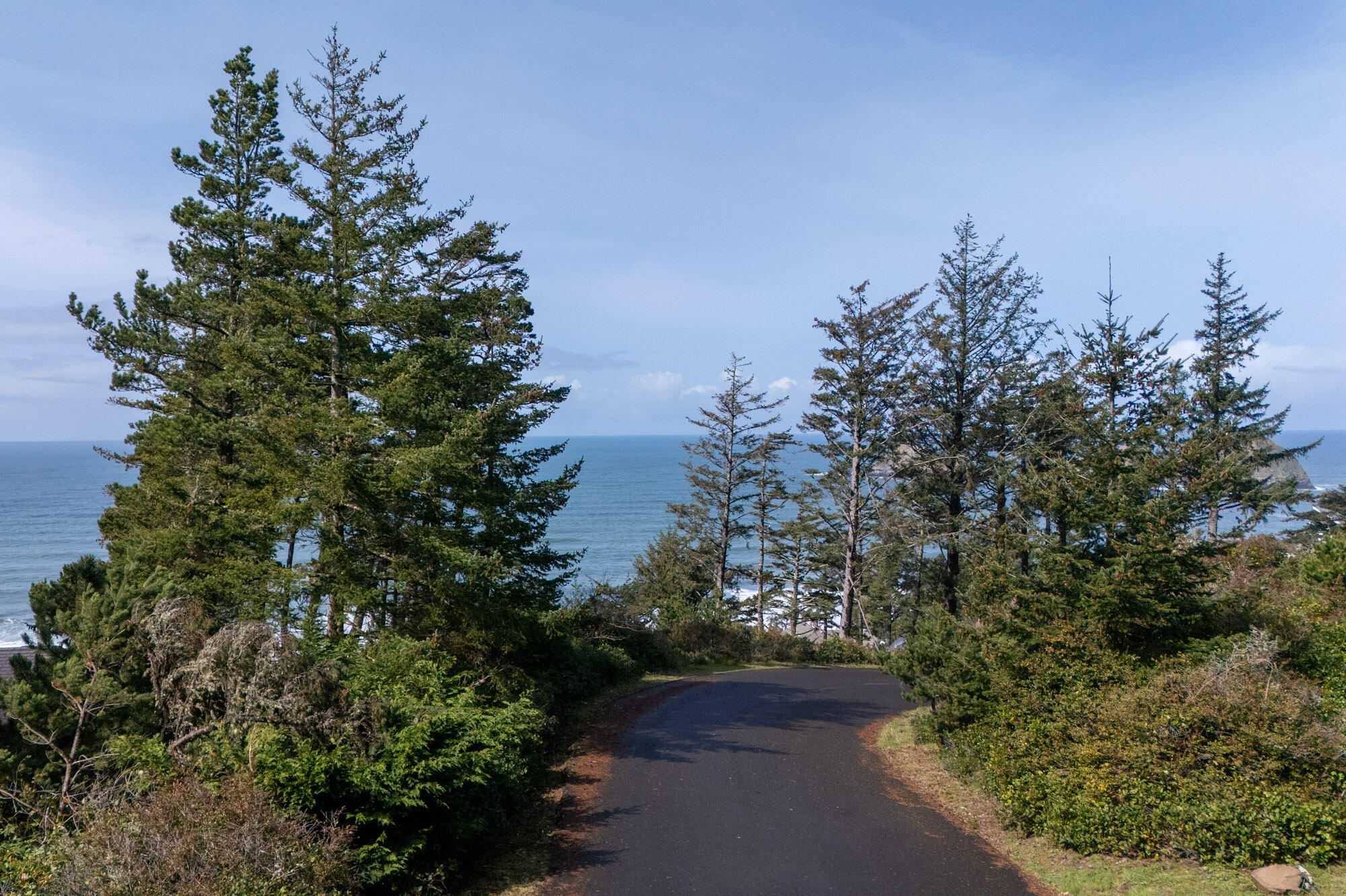 303 Ridgewood Road Tillamook, OR 97141 - Photo 2 of 10 View looking West