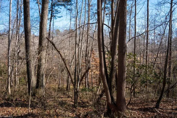 $25,000 | Lot 5 Morosko Lane, Mount Airy, NC 27030