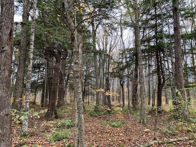 120-acres (mol) 120-acres (mol) Road Merrill, WI 54452 - Photo 1 of 1