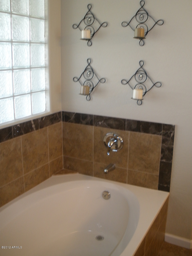 23316 South Greenfield Road Gilbert, AZ 85298 - Photo 13 of 23 Master Bath Soaking Tub