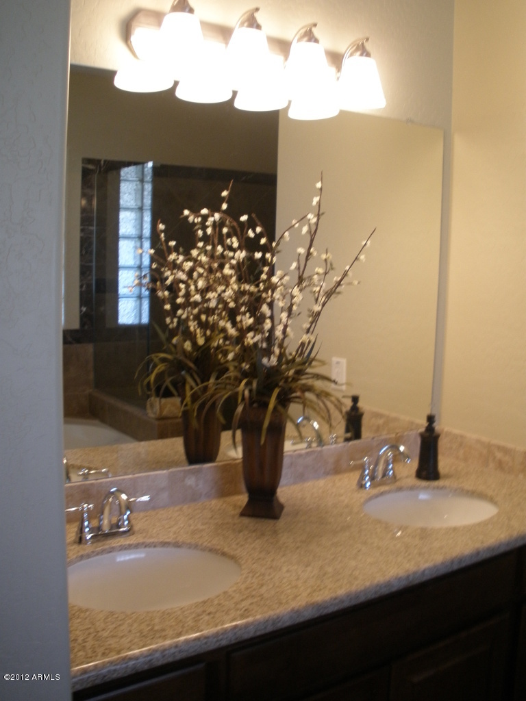 23316 South Greenfield Road Gilbert, AZ 85298 - Photo 14 of 23 Master Bath Double Vanity