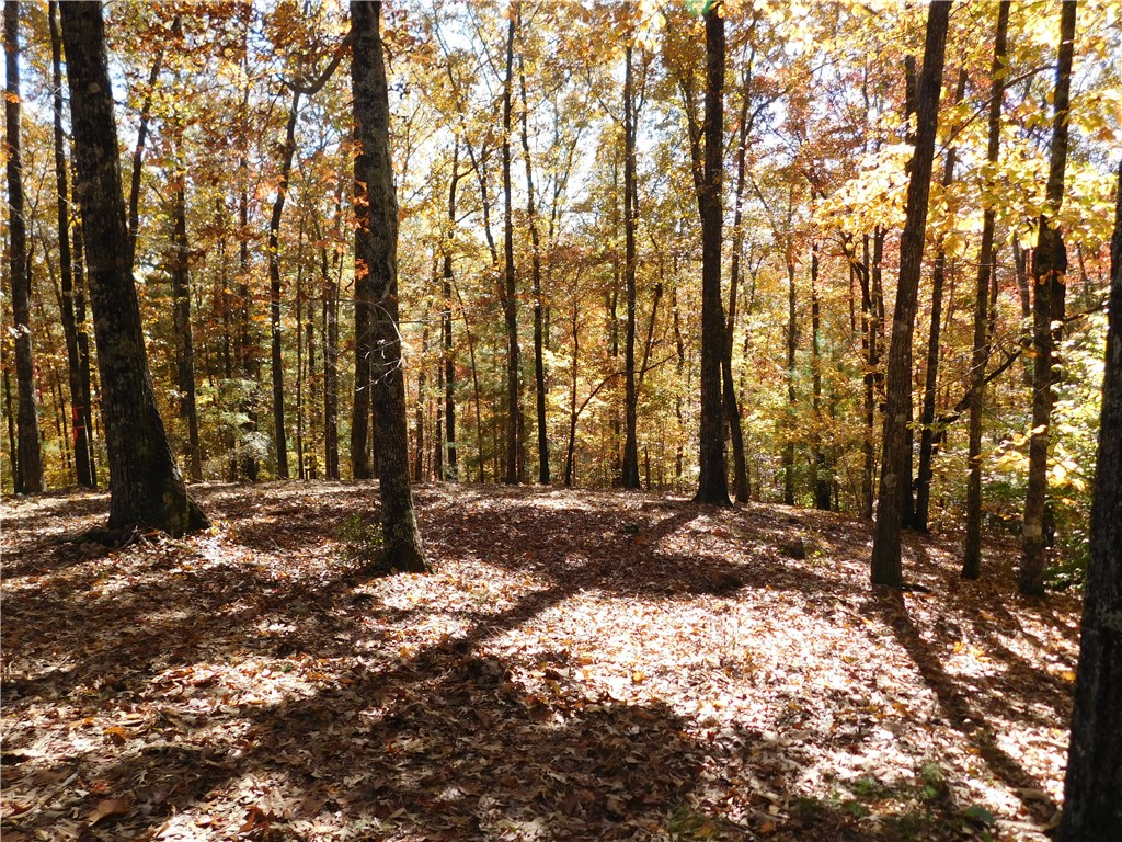 310 Sunset Rdg Way Salem, SC 29676 - Photo 3 of 10