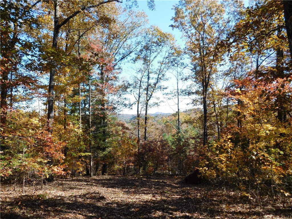 310 Sunset Rdg Way Salem, SC 29676 - Photo 4 of 10