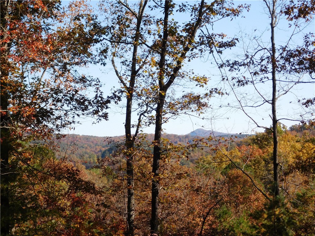 310 Sunset Rdg Way Salem, SC 29676 - Photo 5 of 10