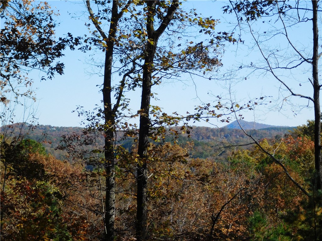 310 Sunset Rdg Way Salem, SC 29676 - Photo 6 of 10