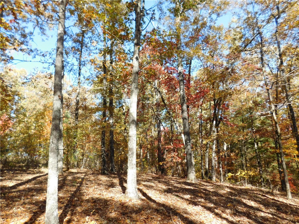 310 Sunset Rdg Way Salem, SC 29676 - Photo 9 of 10