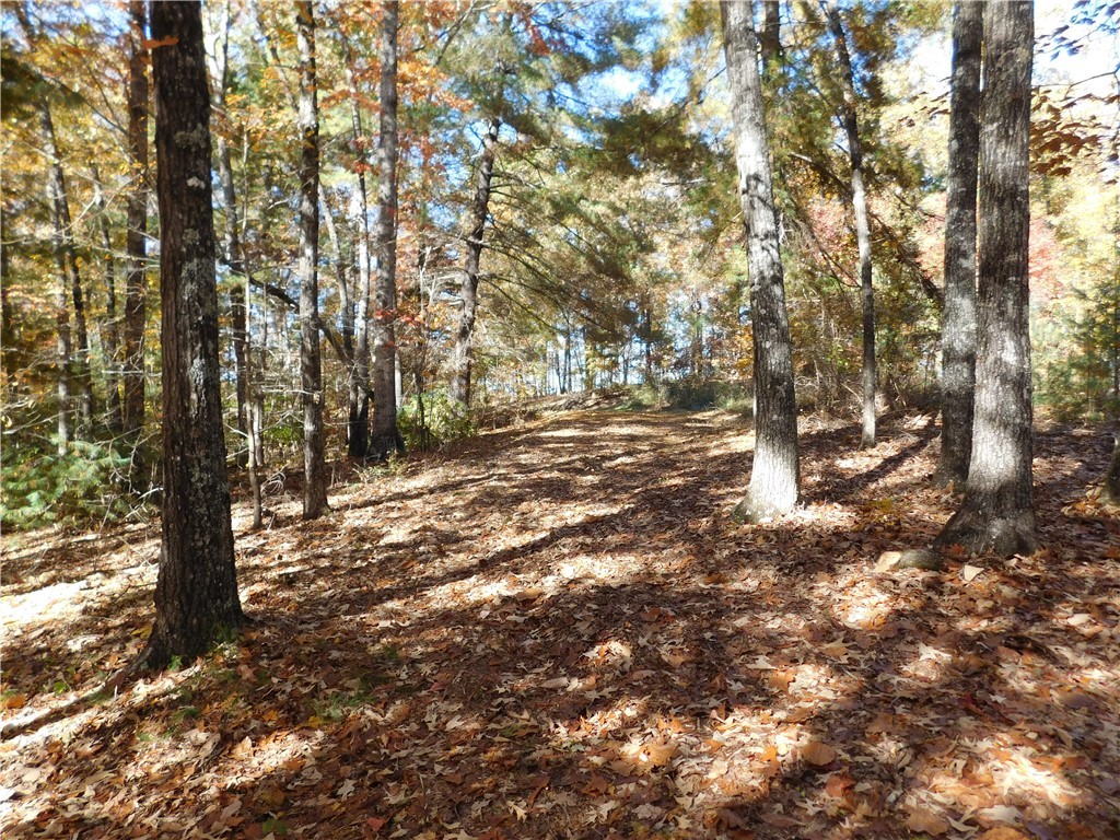 310 Sunset Rdg Way Salem, SC 29676 - Photo 10 of 10