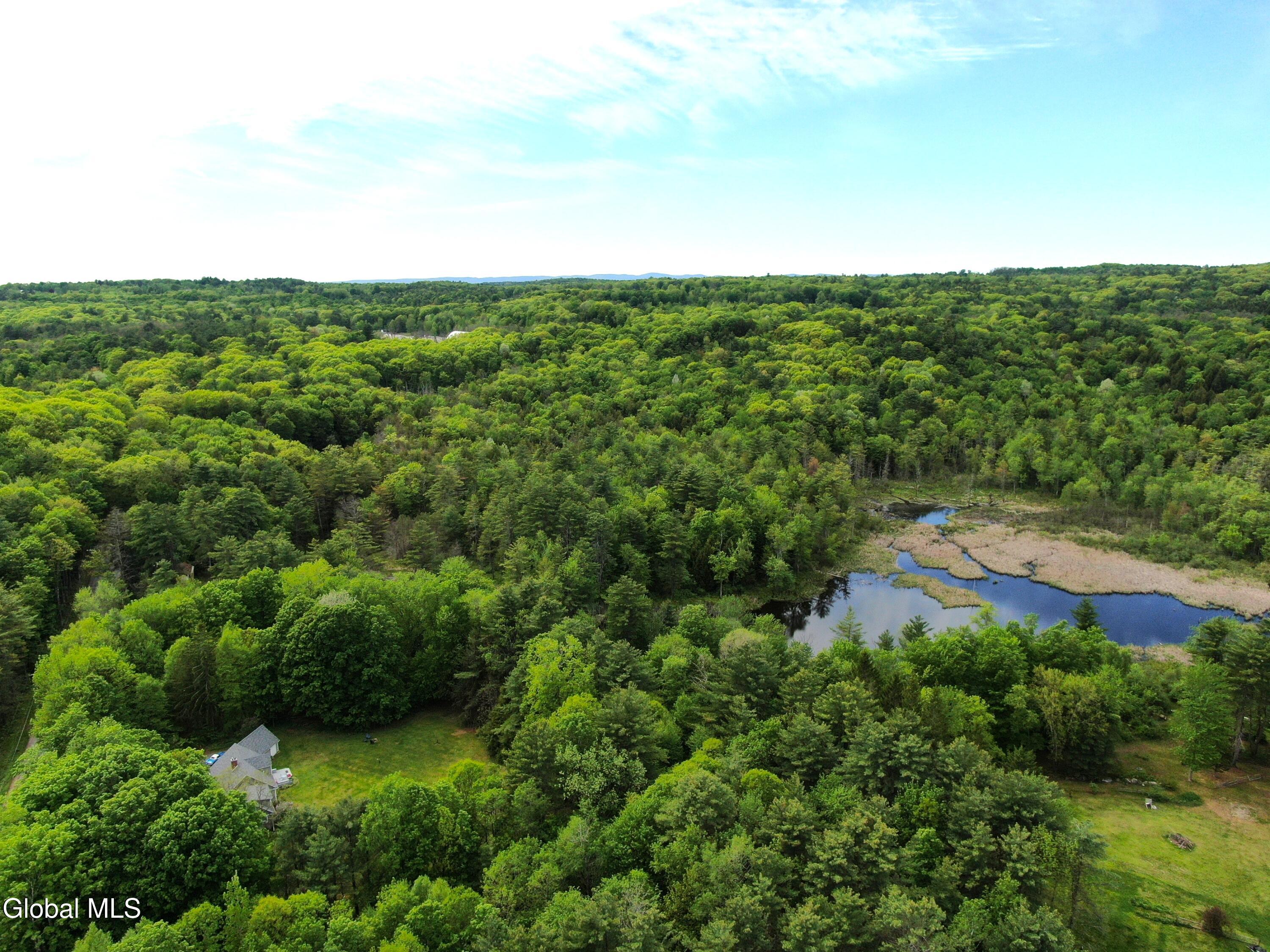 1979 Hermance Road Galway, NY 12074 - Photo 9 of 82 1979 hermance drone 1