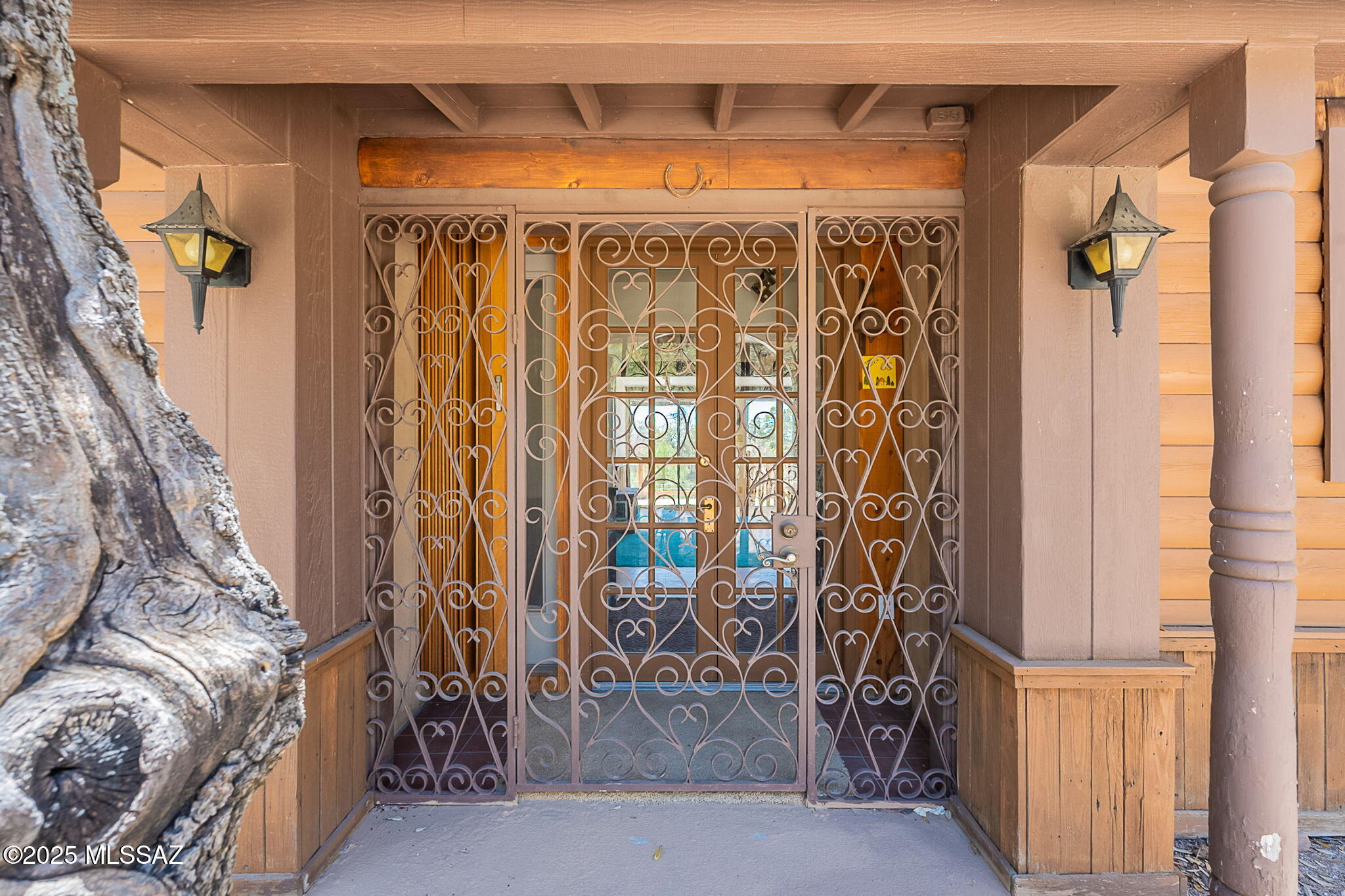 9865 North Willow Loop Tucson, AZ 85739 - Photo 4 of 50 Pretty security door