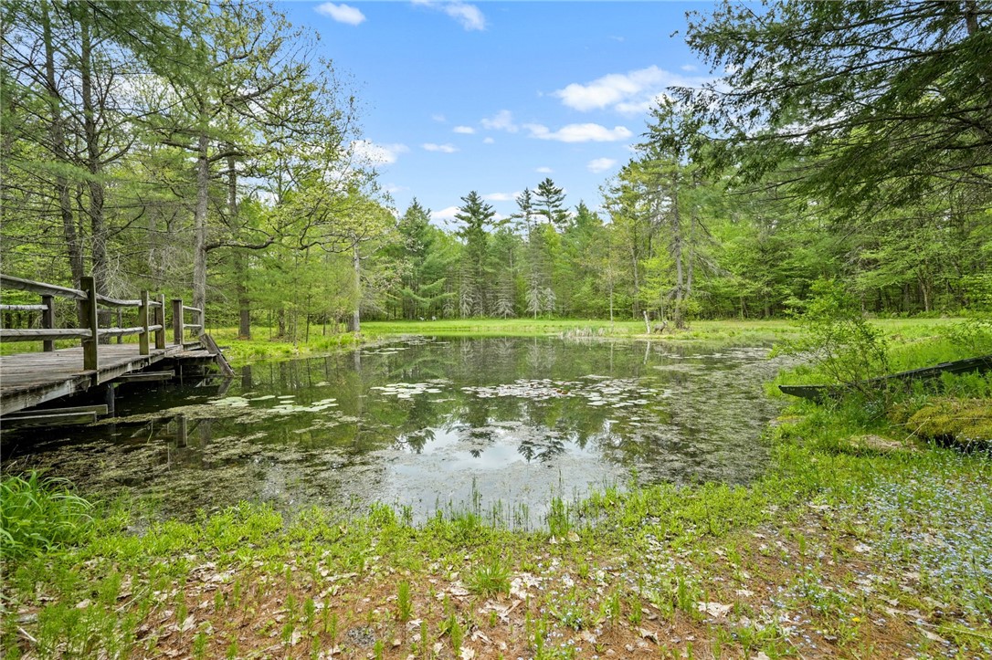 1028 Copes Corners Road Butternuts, NY 13843 - Photo 24 of 36