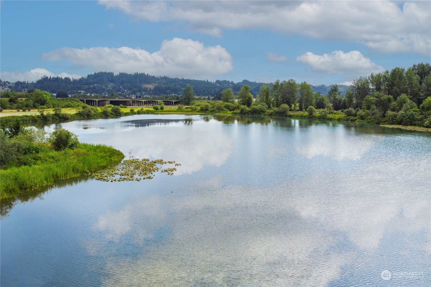 0 Southwest Hillburger Road Chehalis, WA 98532 - Photo 16 of 16 a view of a lake with a mountain