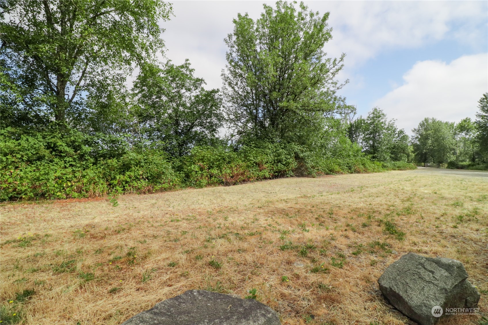 0 Southwest Hillburger Road Chehalis, WA 98532 - Photo 6 of 16 a view of a yard with a tree