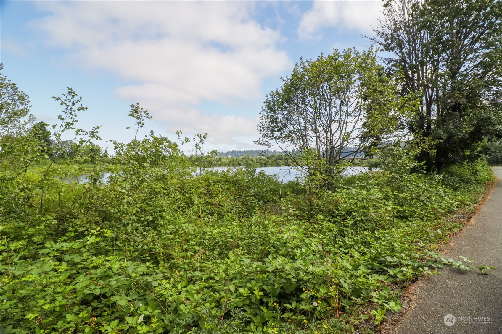0 Southwest Hillburger Road Chehalis, WA 98532 - Photo 10 of 16 a view of a bunch of trees